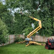 Best Tree Preservation Services  in Salmon Creek, WA